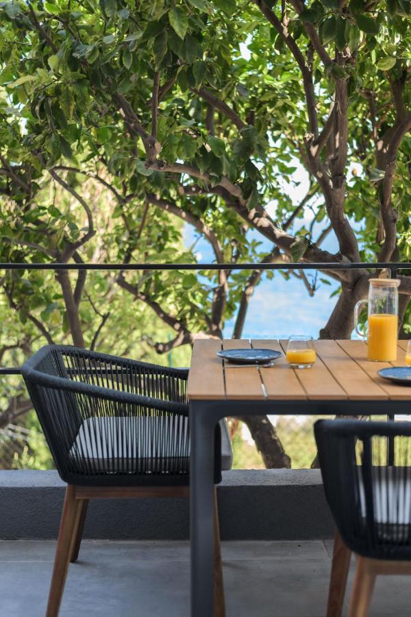 Proche Monaco, Vue Mer, Acces Plage Et Jardin Privatif Saint-Antoine  Экстерьер фото
