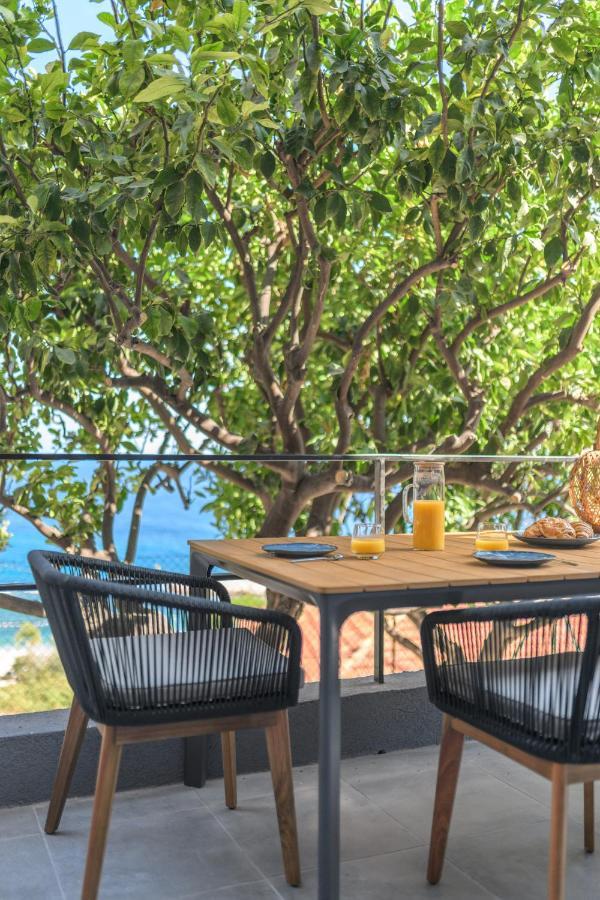 Proche Monaco, Vue Mer, Acces Plage Et Jardin Privatif Saint-Antoine  Экстерьер фото
